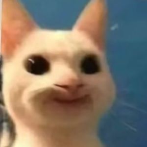 Meet your Posher, Hailey